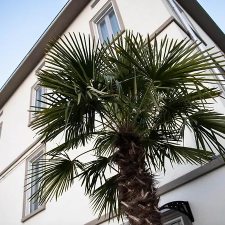 Le Palme-2